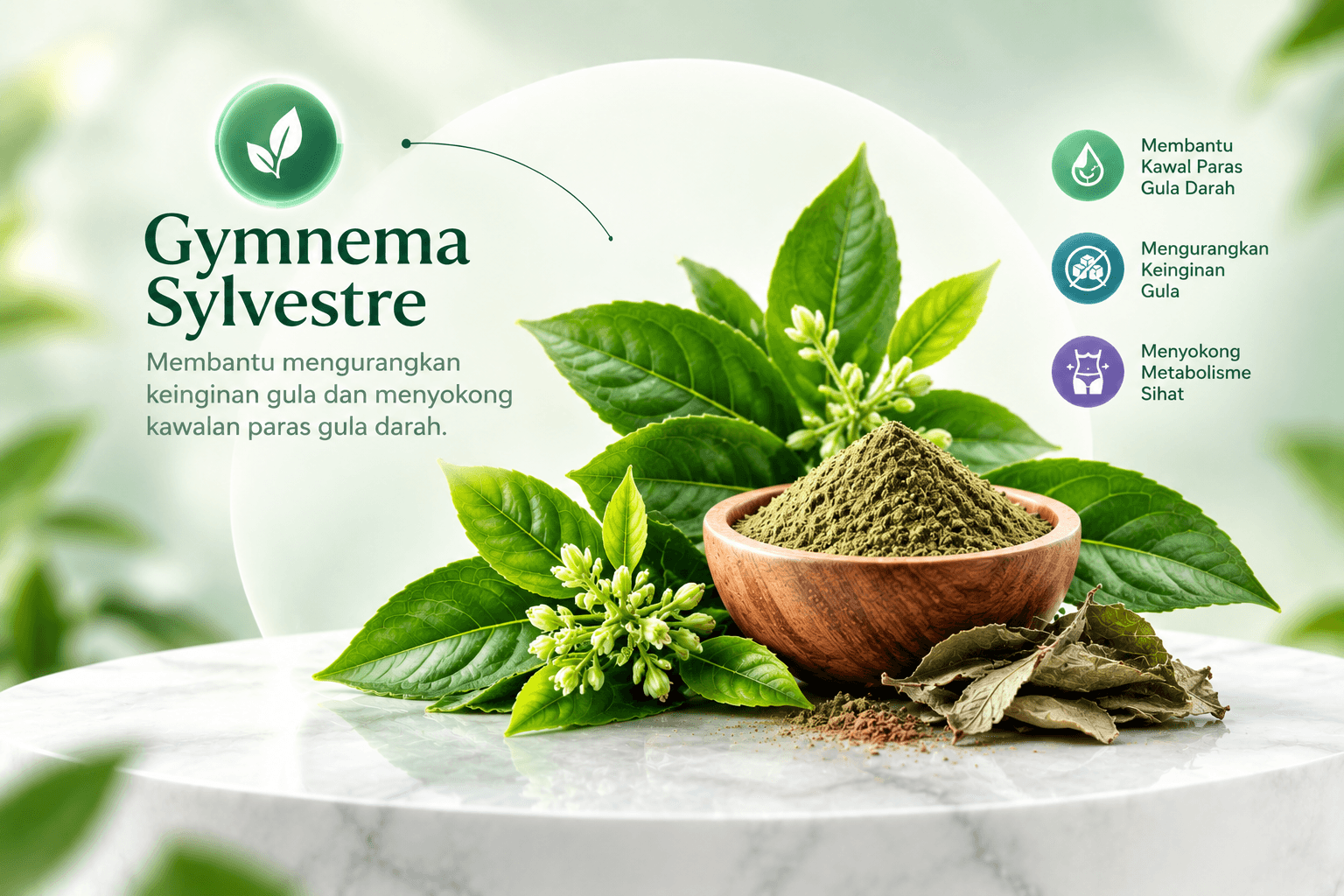 Gymnema Sylvestre ramuan Dazibet